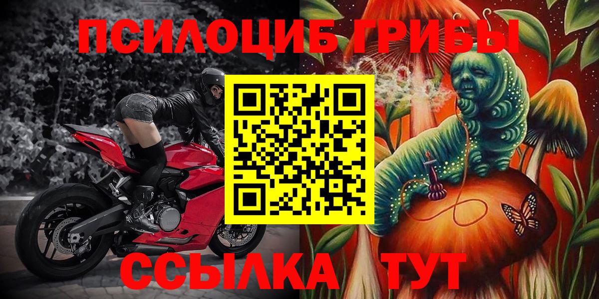 Галлюциногенные грибы Psilocybe  где можно купить наркотик  Лыткарино  Вход с VPN  Псилоцибиновые грибы Psilocybe 