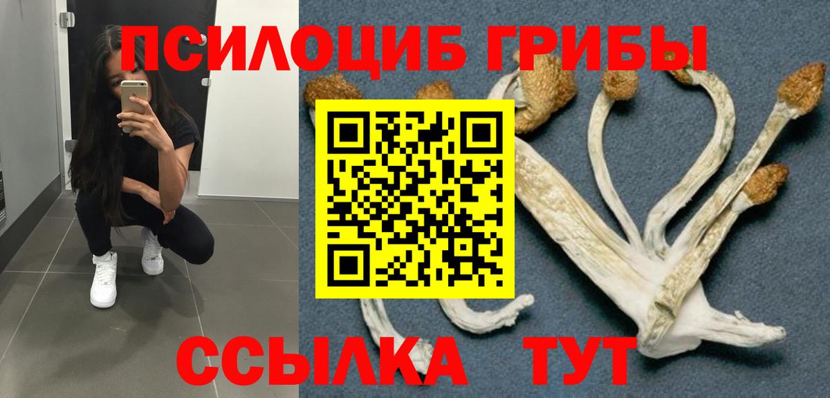 Псилоцибиновые грибы прущие грибы Лыткарино